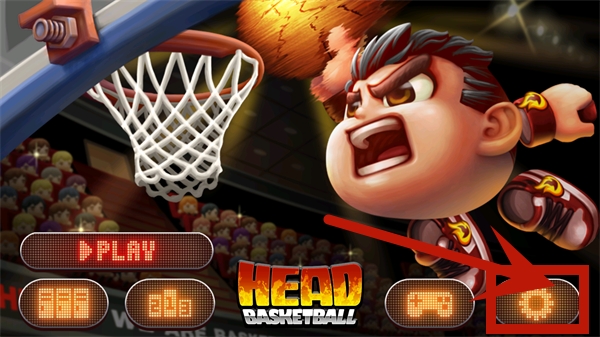 Head BasketBall