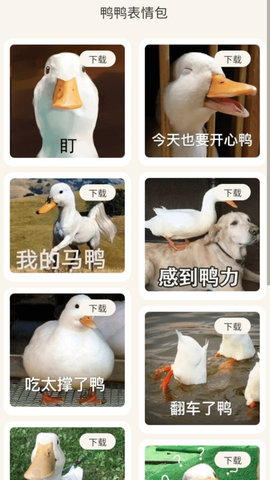 冲鸭流量手机版